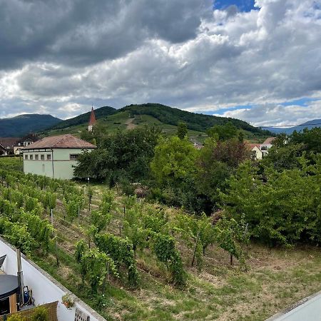 Alsacebnb - Gite 12 Personnes Dans Le Vignoble - Piscine Privee & Spa アンマーシュヴィア エクステリア 写真