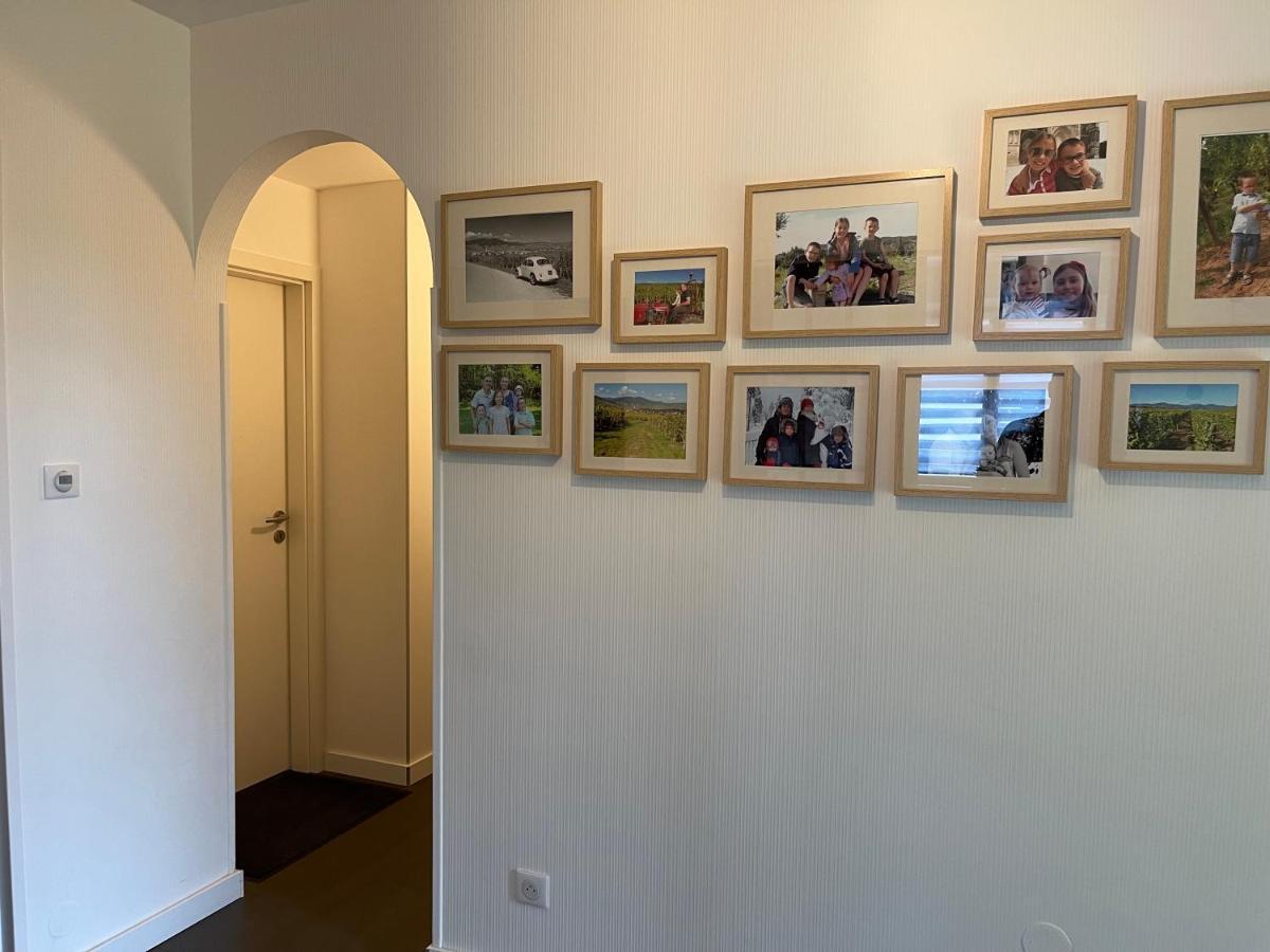 Alsacebnb - Gite 12 Personnes Dans Le Vignoble - Piscine Privee & Spa アンマーシュヴィア エクステリア 写真