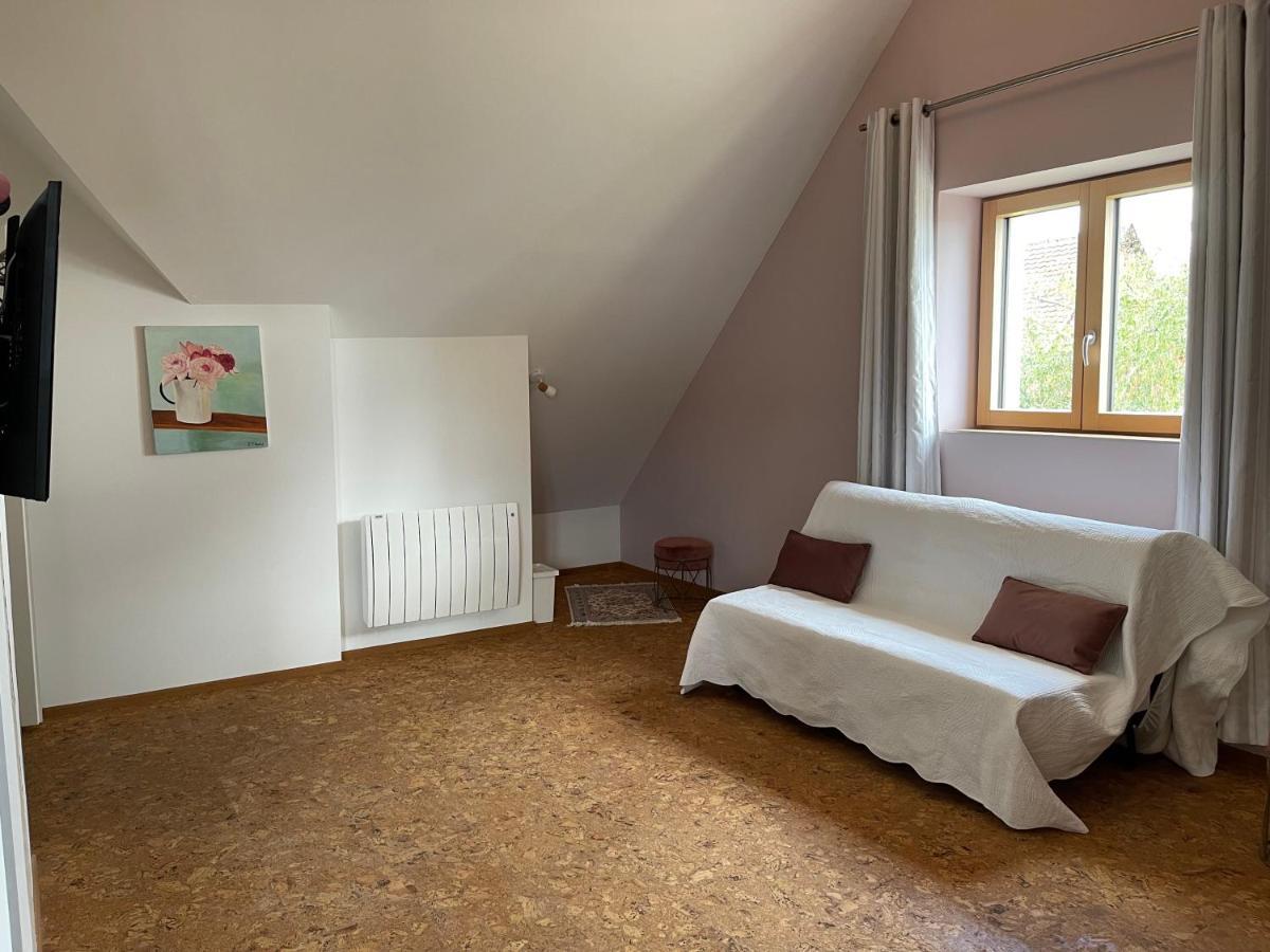 Alsacebnb - Gite 12 Personnes Dans Le Vignoble - Piscine Privee & Spa アンマーシュヴィア エクステリア 写真