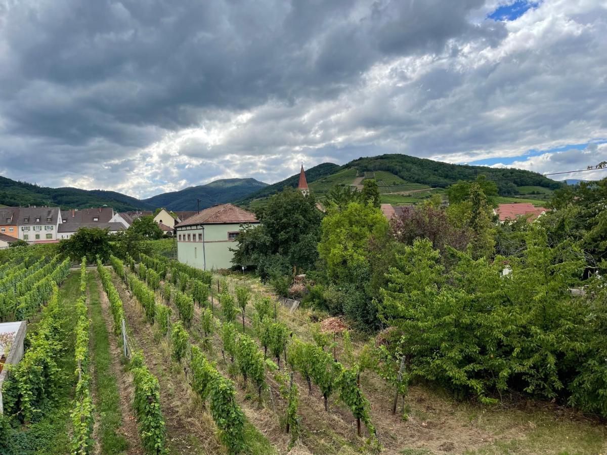 Alsacebnb - Gite 12 Personnes Dans Le Vignoble - Piscine Privee & Spa アンマーシュヴィア エクステリア 写真