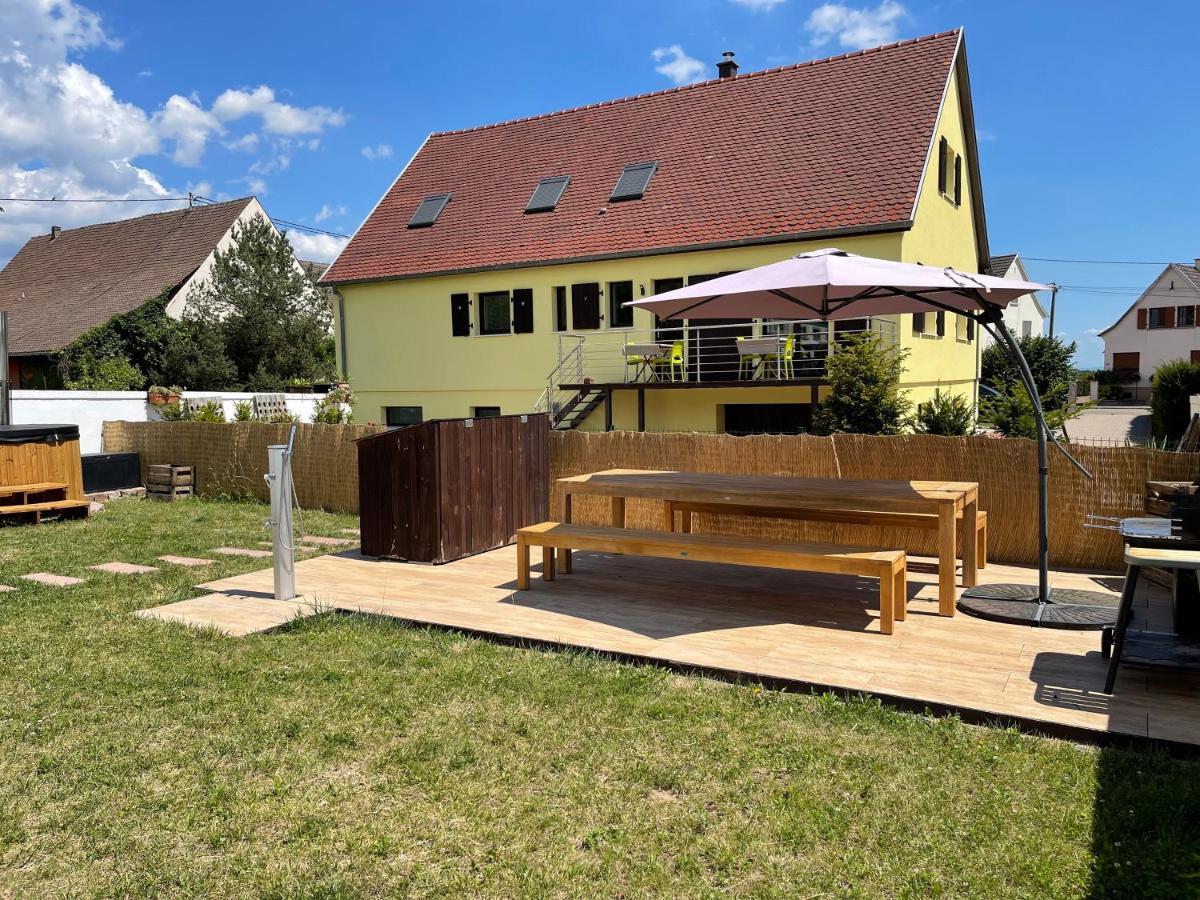Alsacebnb - Gite 12 Personnes Dans Le Vignoble - Piscine Privee & Spa アンマーシュヴィア エクステリア 写真