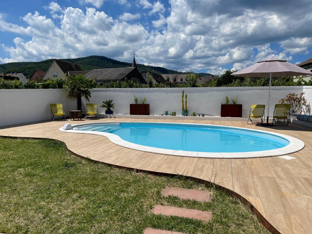 Alsacebnb - Gite 12 Personnes Dans Le Vignoble - Piscine Privee & Spa アンマーシュヴィア エクステリア 写真