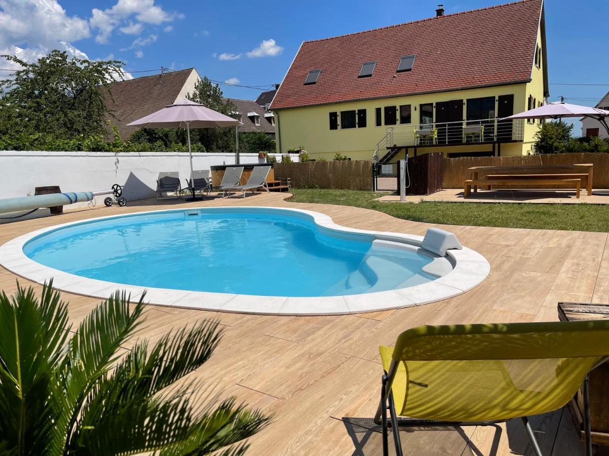 Alsacebnb - Gite 12 Personnes Dans Le Vignoble - Piscine Privee & Spa アンマーシュヴィア エクステリア 写真