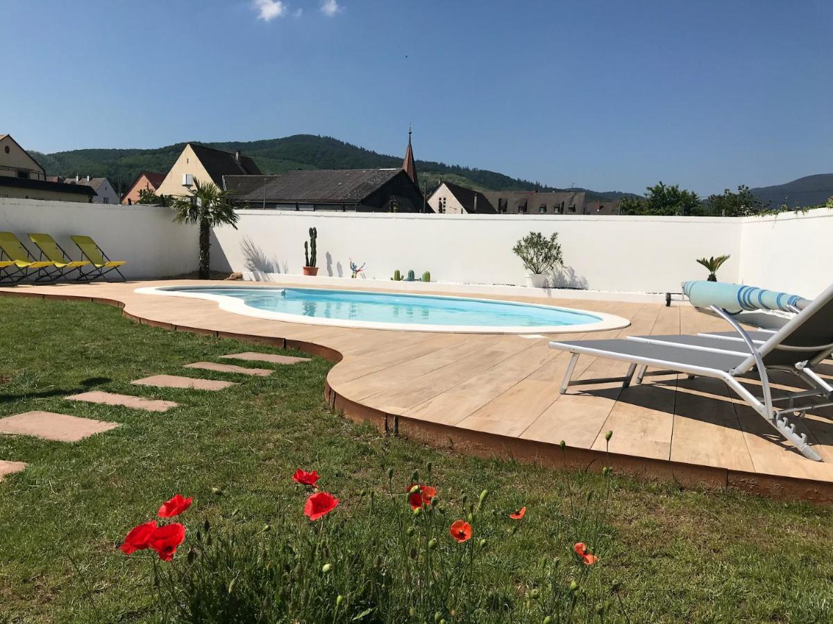Alsacebnb - Gite 12 Personnes Dans Le Vignoble - Piscine Privee & Spa アンマーシュヴィア エクステリア 写真